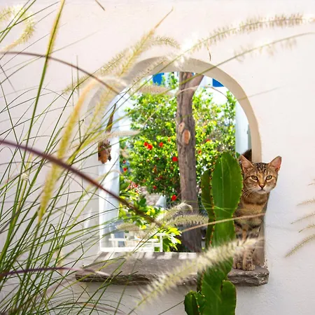 Silver Fos Lejlighed