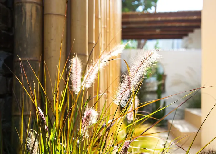 Silver Fos Appartement *